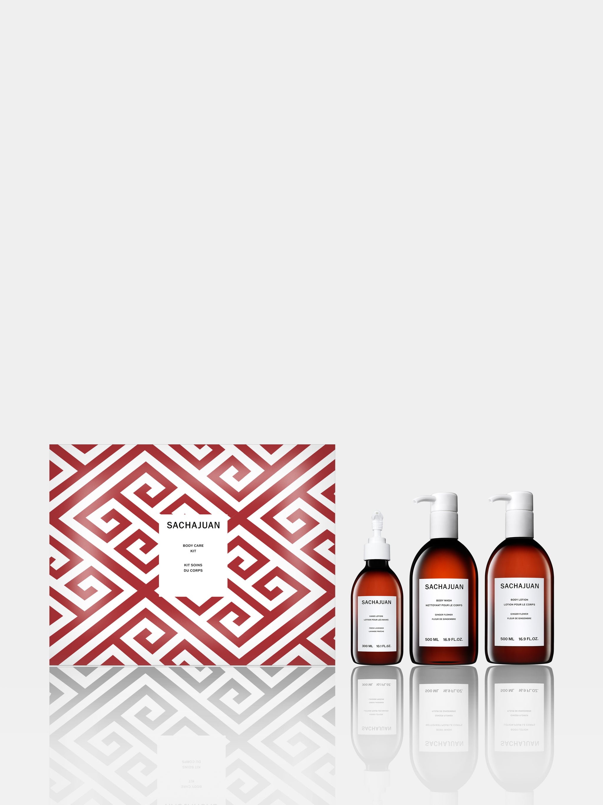 HOLIDAY BODY CARE KIT