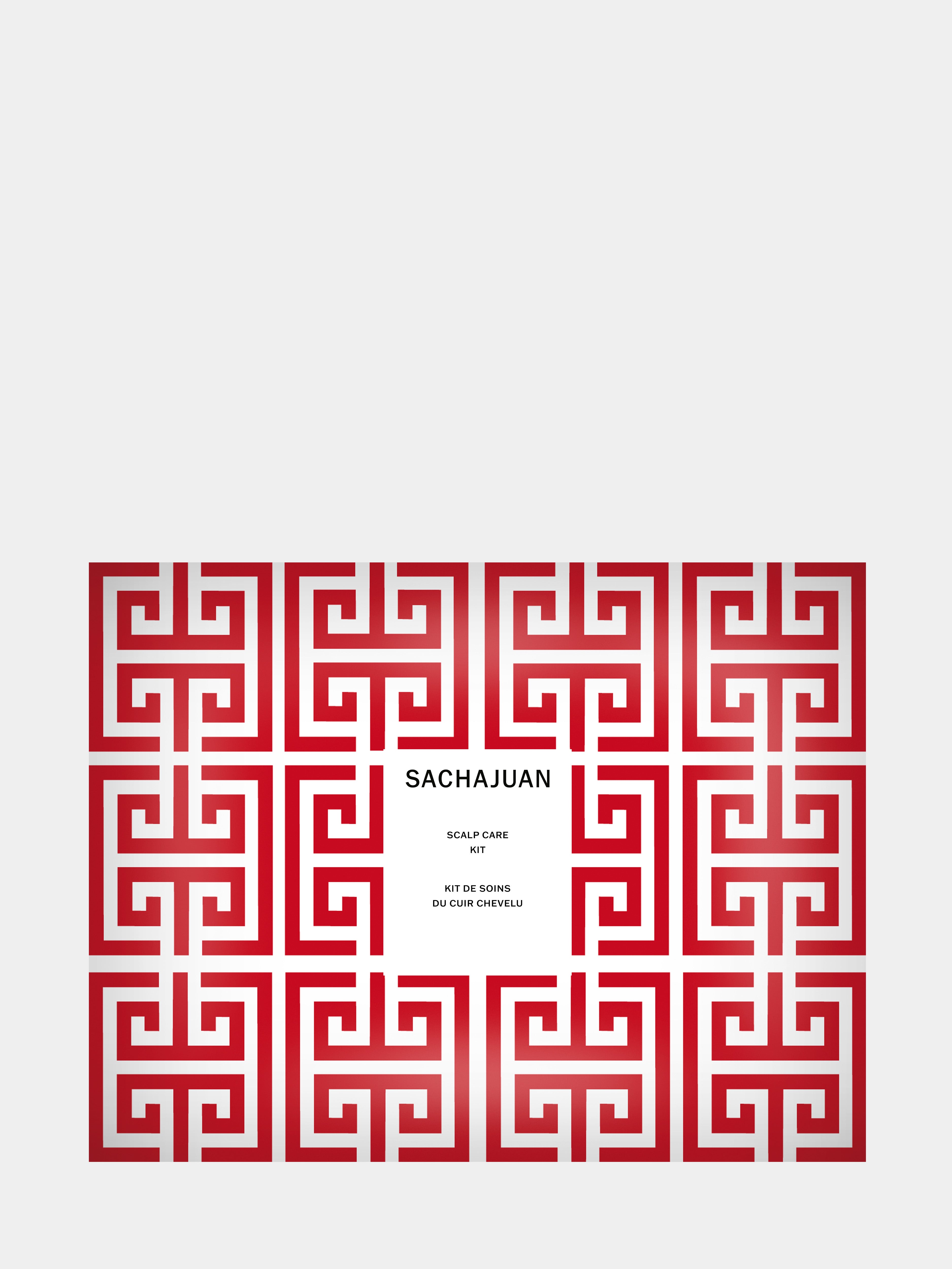 HOLIDAY SCALP CARE KIT