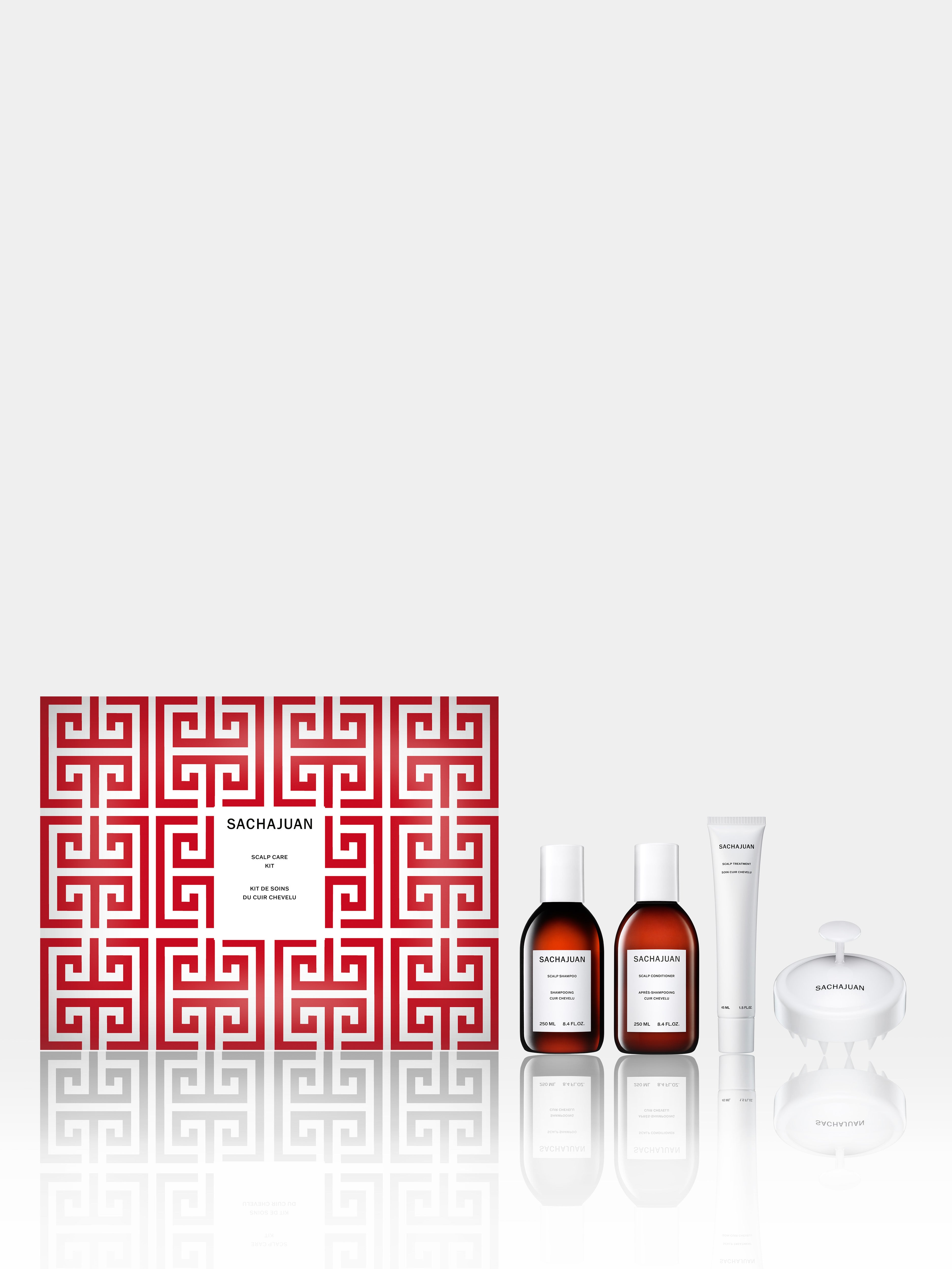 HOLIDAY SCALP CARE KIT